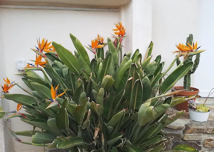 Holiday home Le Logis Du Moulin Avec Jacuzzi, A 800m De La Cite Medievale *